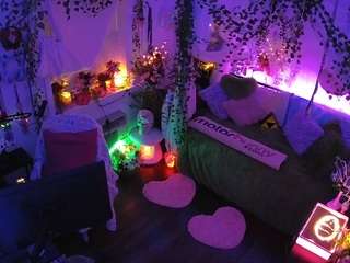 voyeurcam veccasalt 01